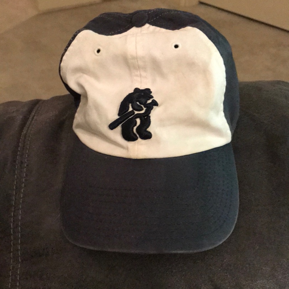 Cubs hat